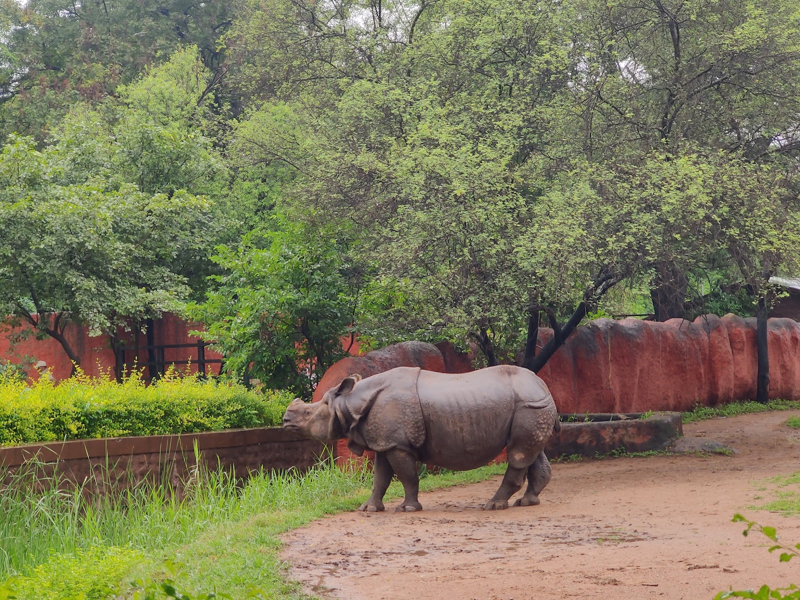 Nehru Zoological Park