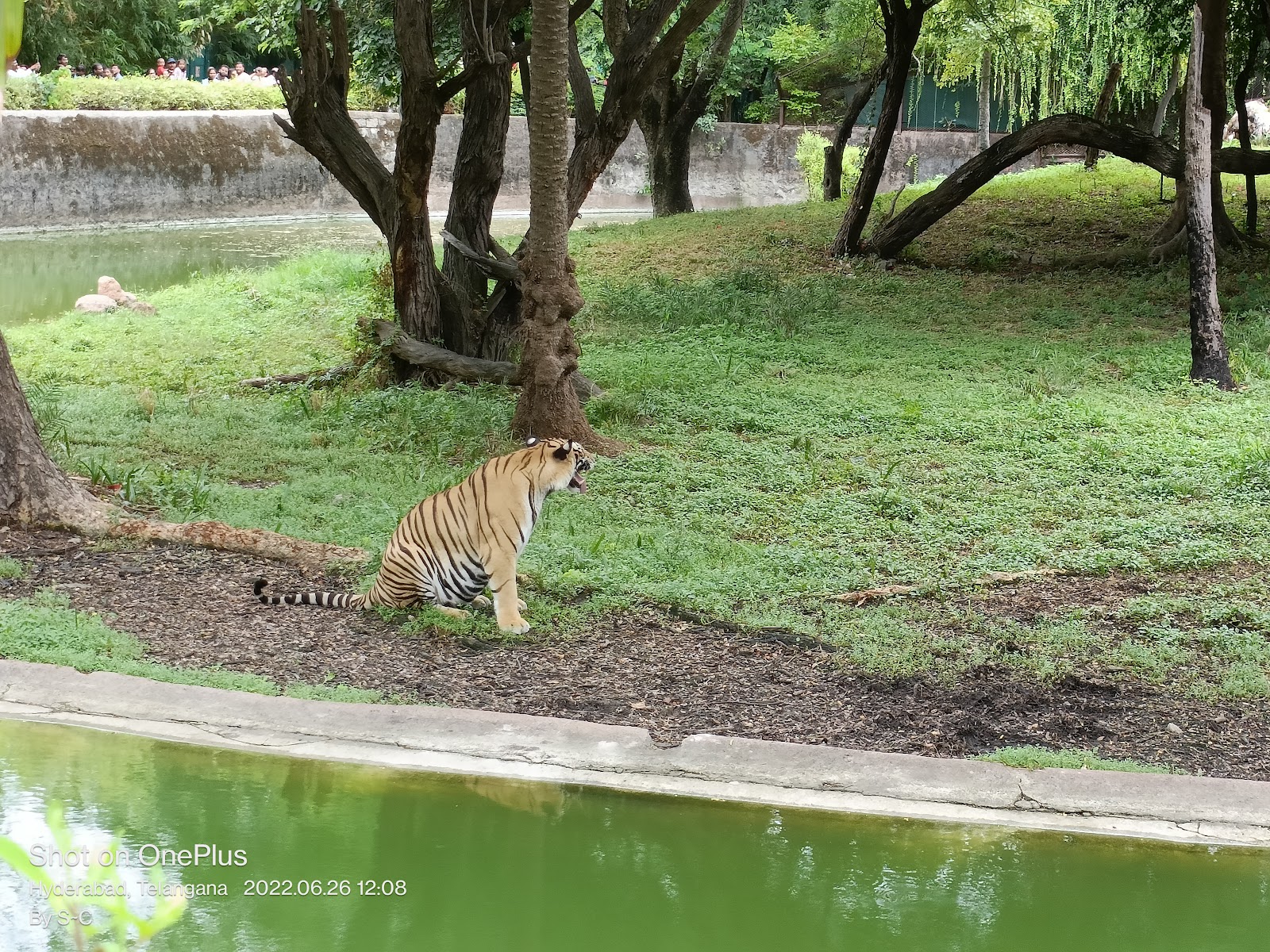 Nehru Zoological Park