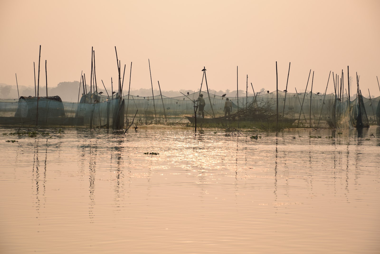 Rudrasagar Lake Shore