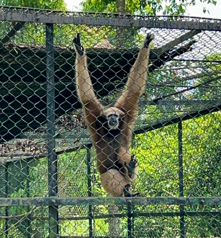 Sepahijala Zoological Park