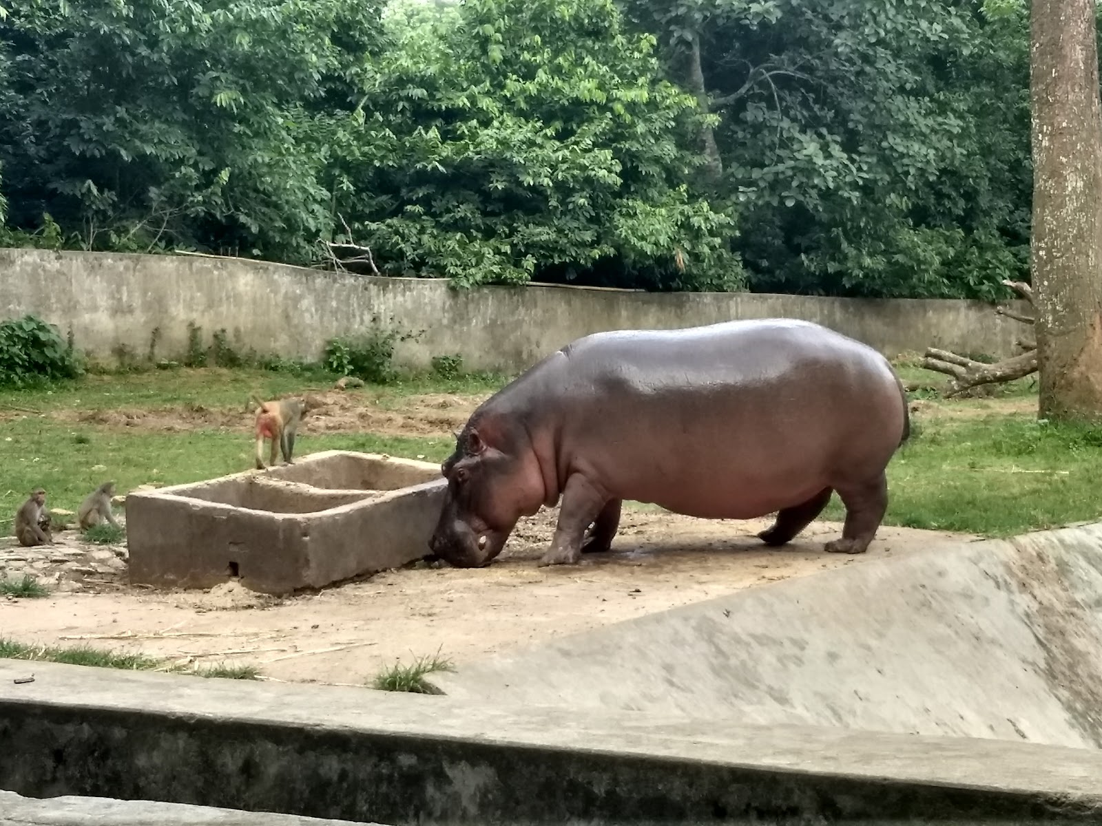 Sepahijala Zoological Park