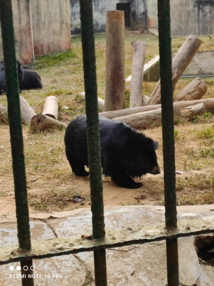 Sepahijala Zoological Park