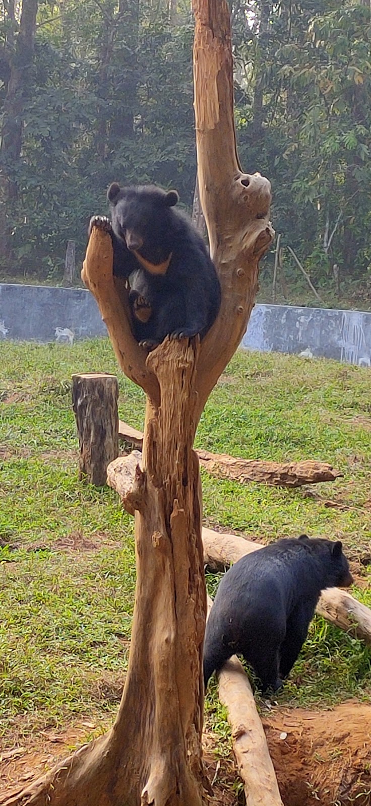 Sepahijala Zoological Park