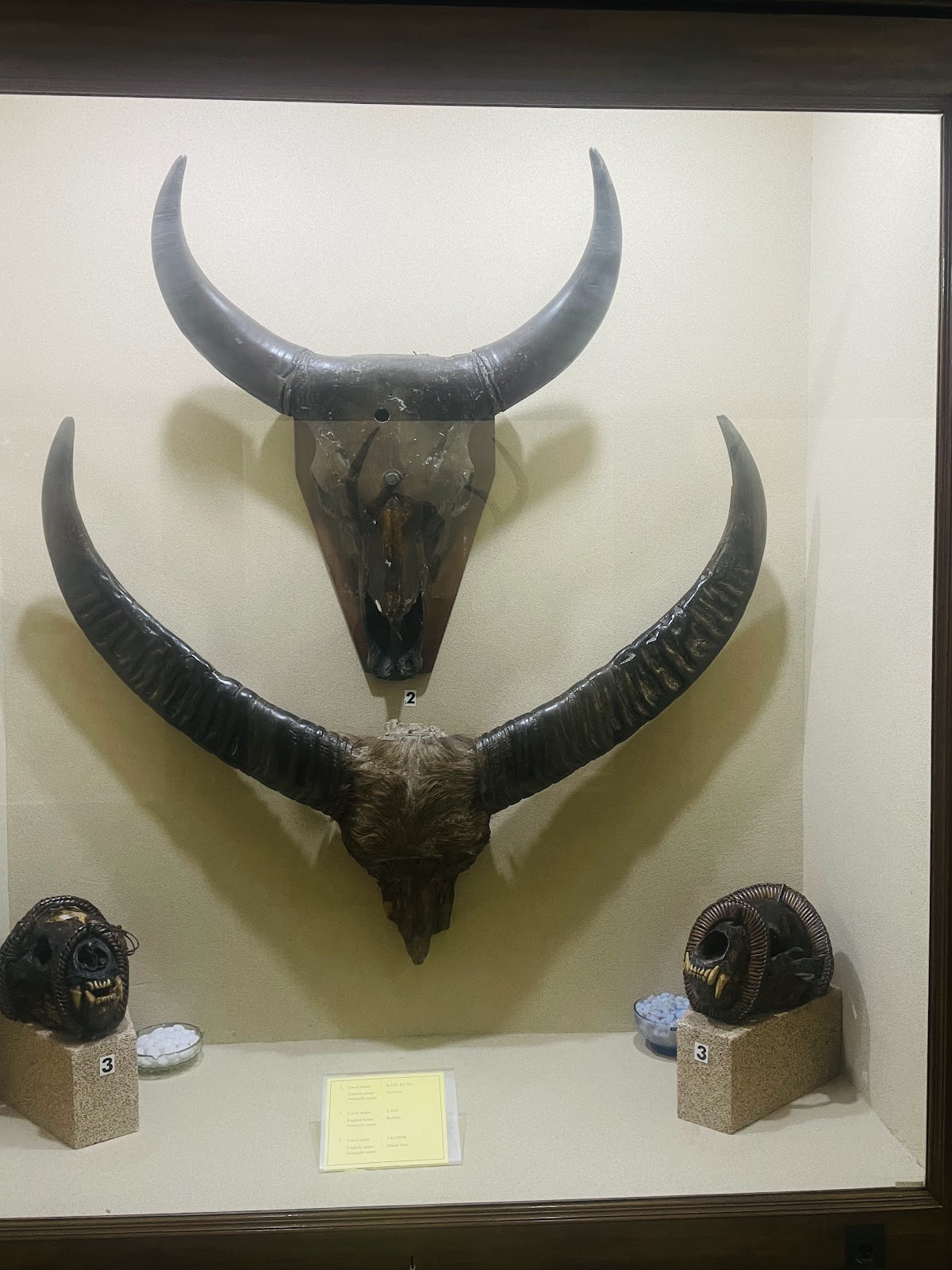 Heritage Mizo Village Exhibit