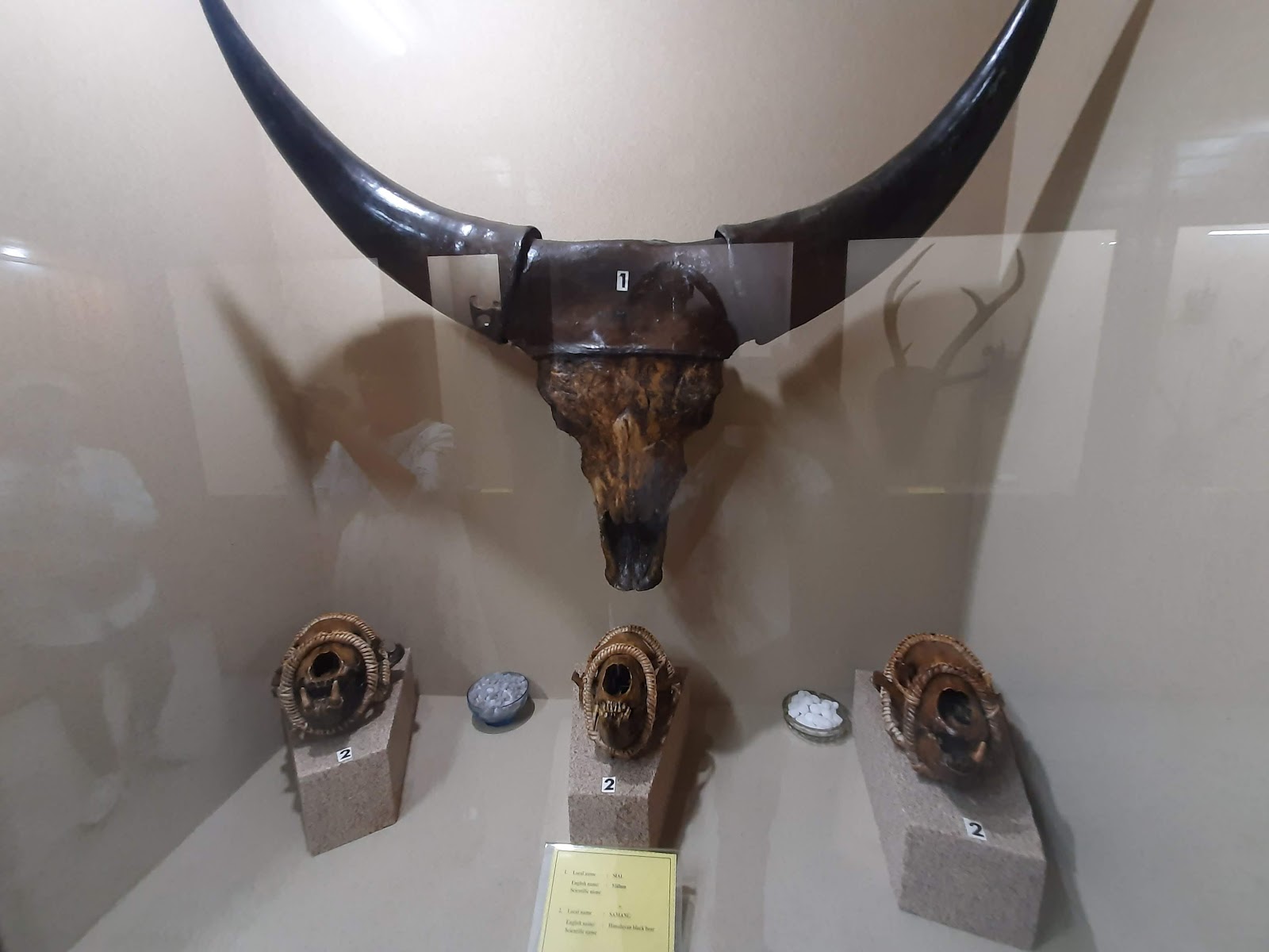 Heritage Mizo Village Exhibit