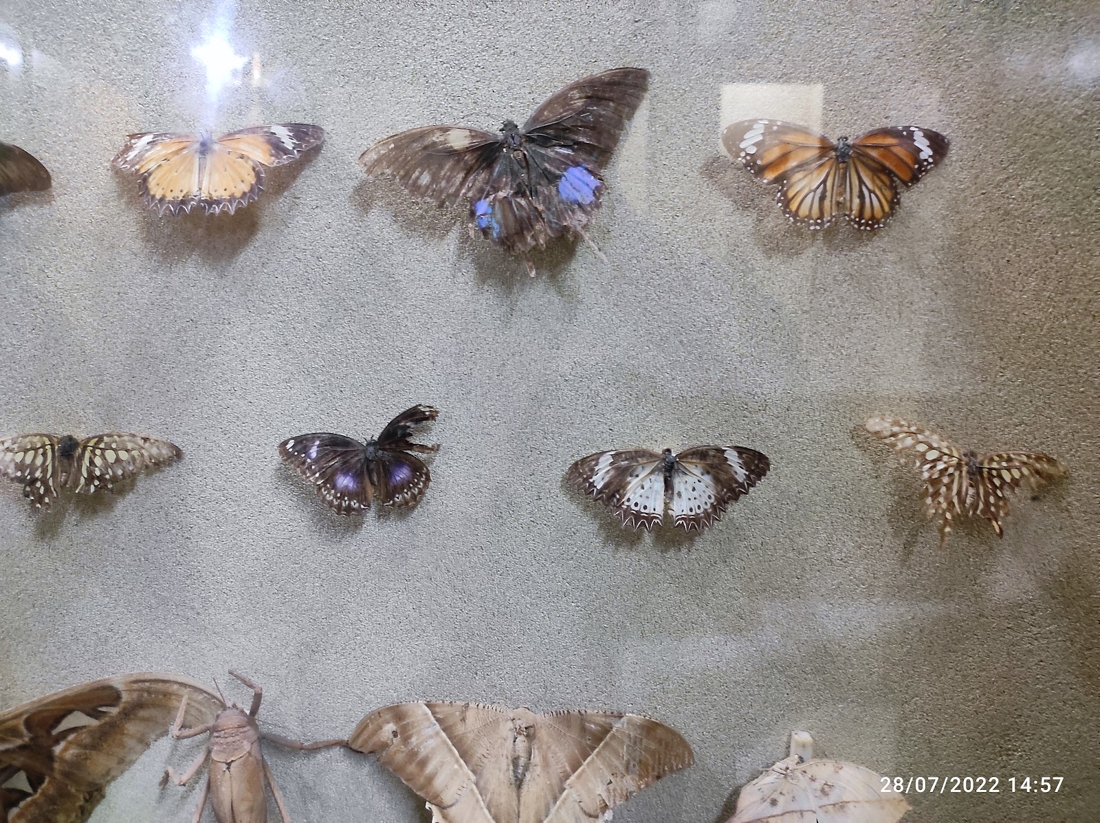 Heritage Mizo Village Exhibit