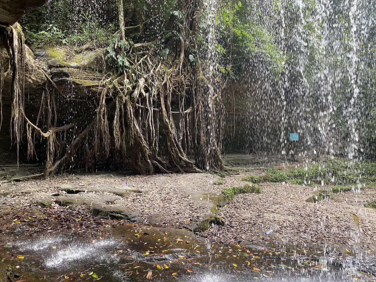Small Waterfalls Trail