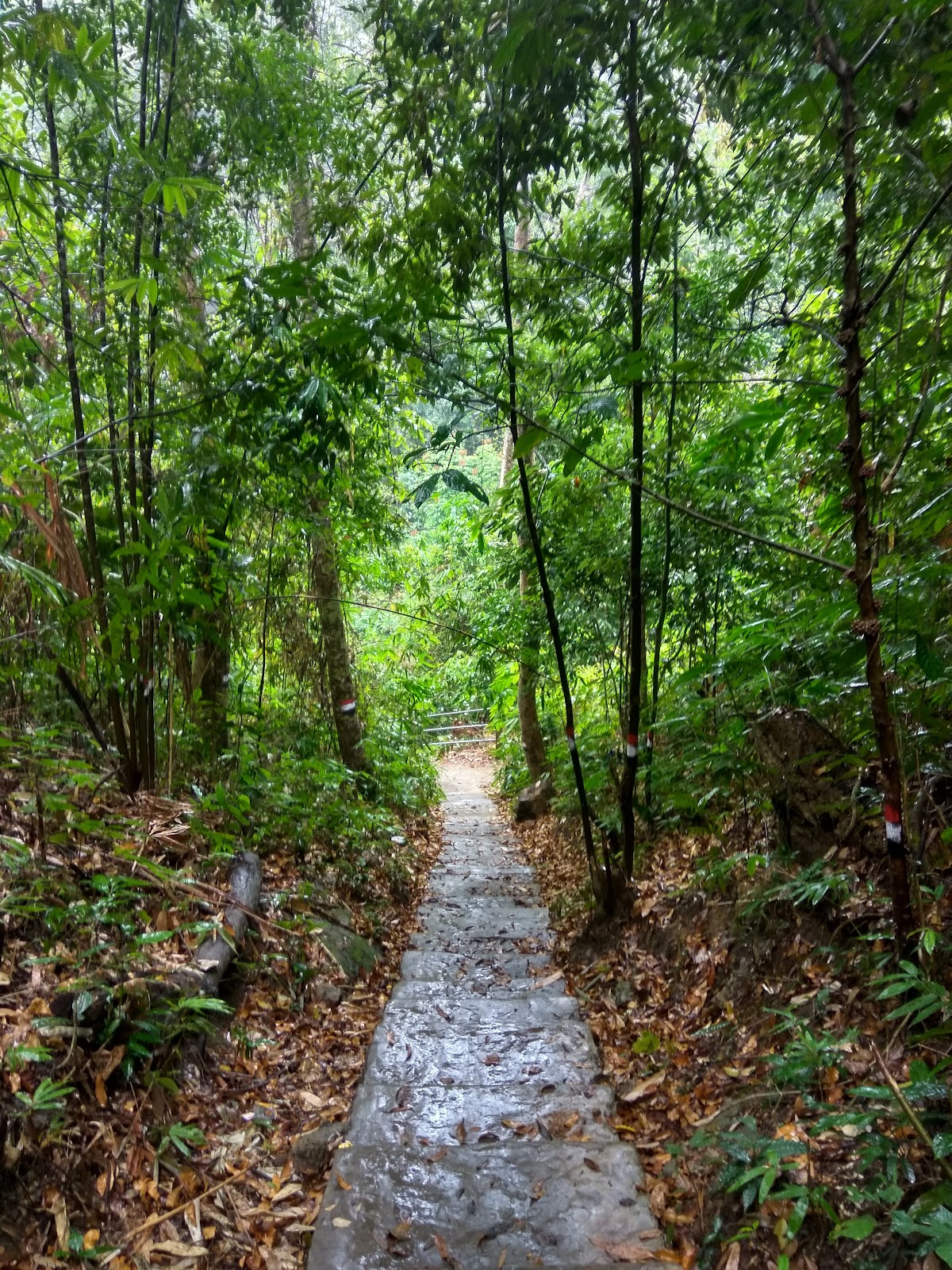 Small Waterfalls Trail
