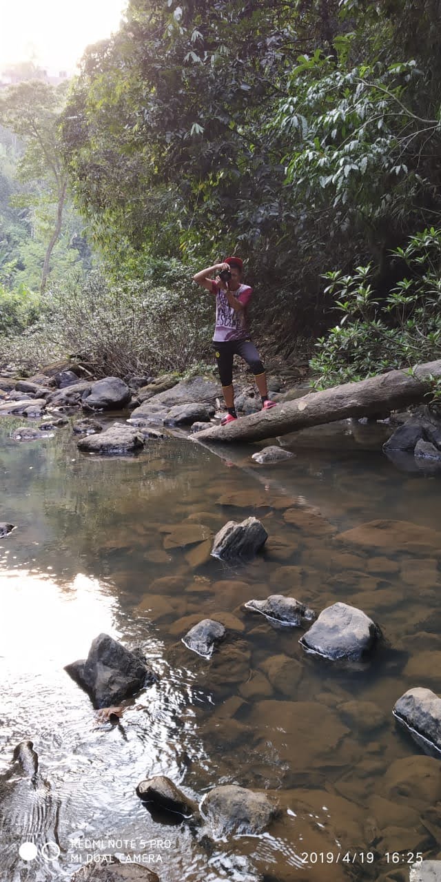 Small Waterfalls Trail