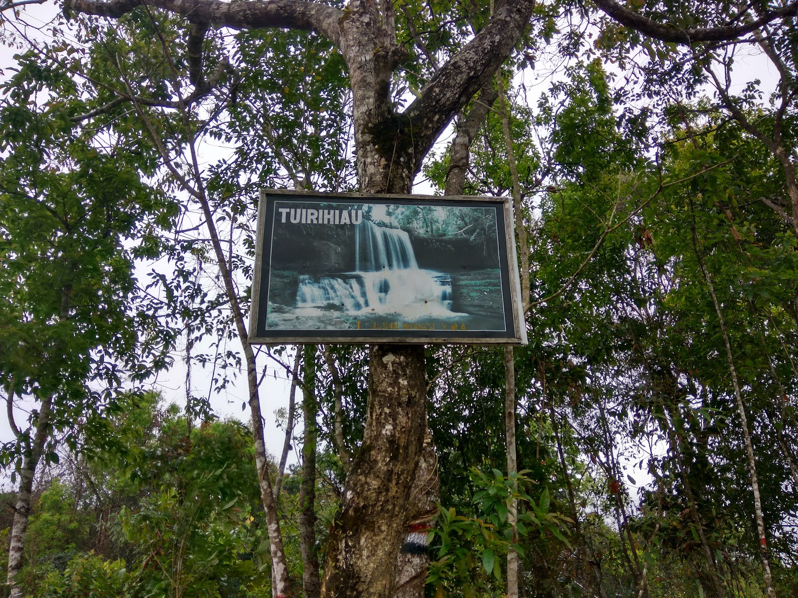 Small Waterfalls Trail