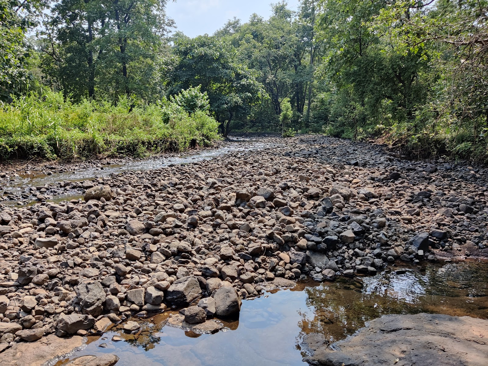 Tansa Wildlife Sanctuary