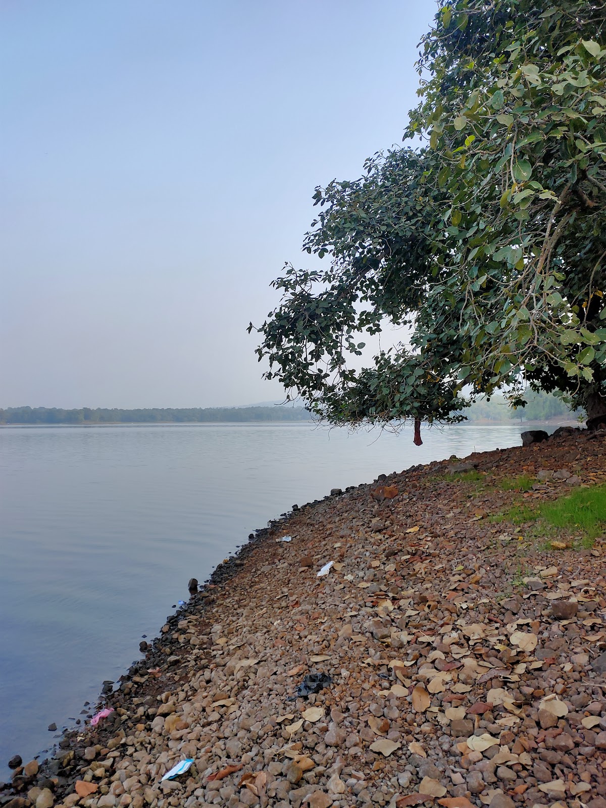 Tansa Wildlife Sanctuary