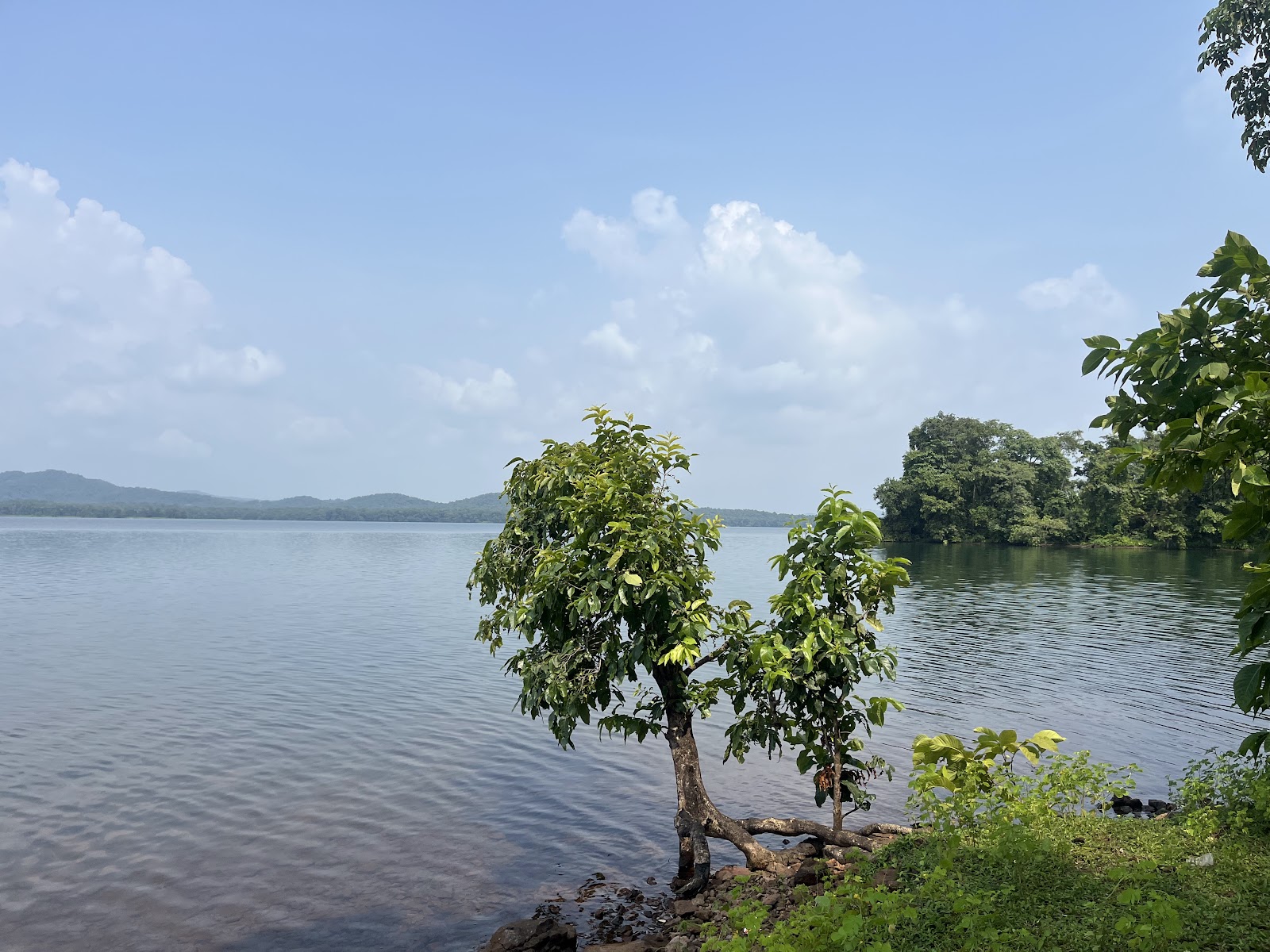 Tansa Wildlife Sanctuary