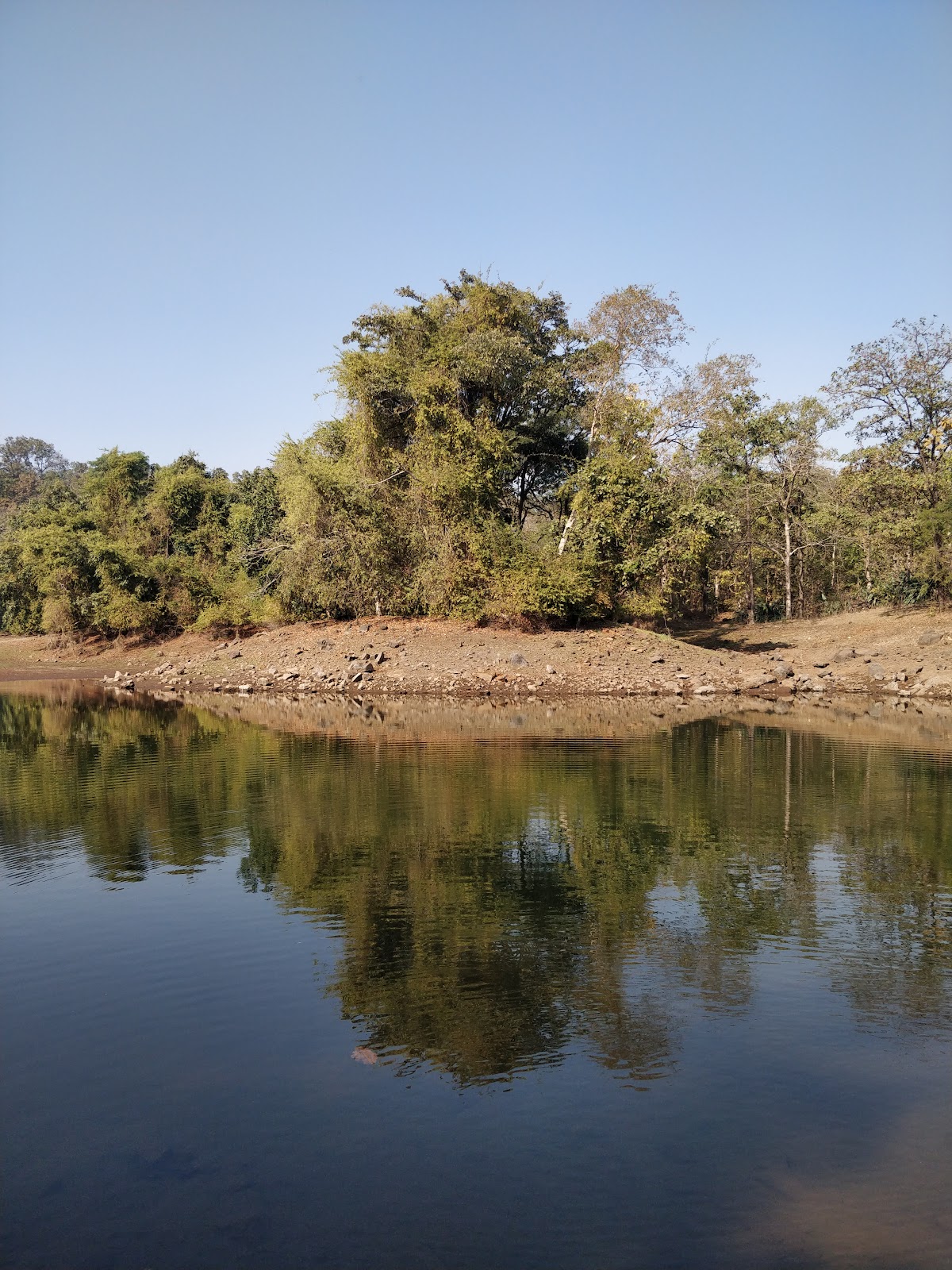 Tansa Wildlife Sanctuary