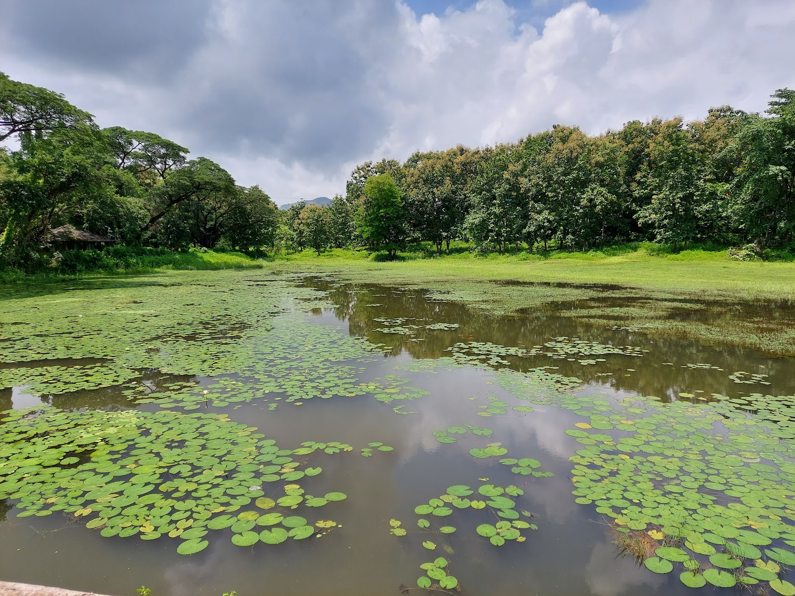 Tansa Wildlife Sanctuary