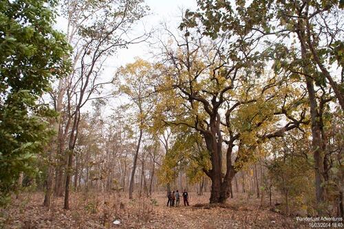 Tansa Wildlife Sanctuary