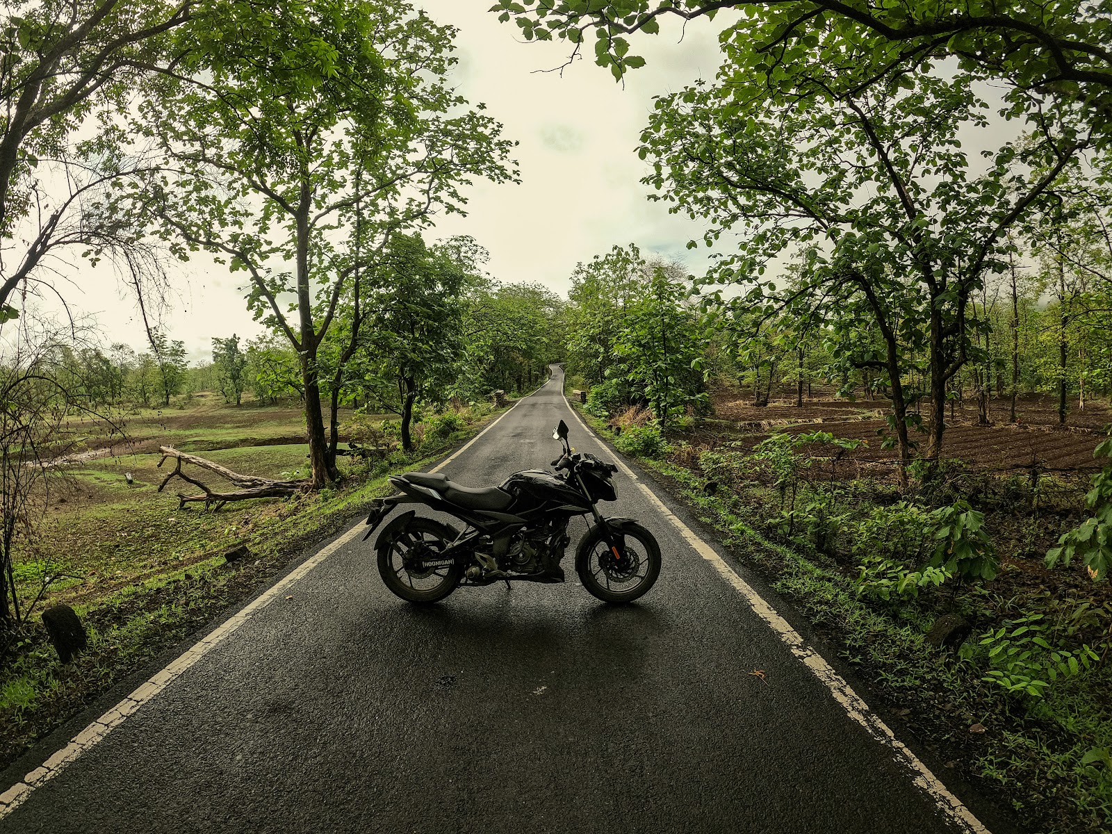 Tansa Wildlife Sanctuary