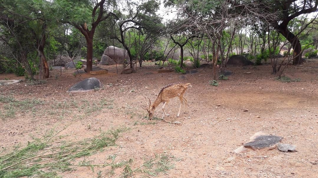 Shamirpet, Telangana - A Perfect Weekend Getaway