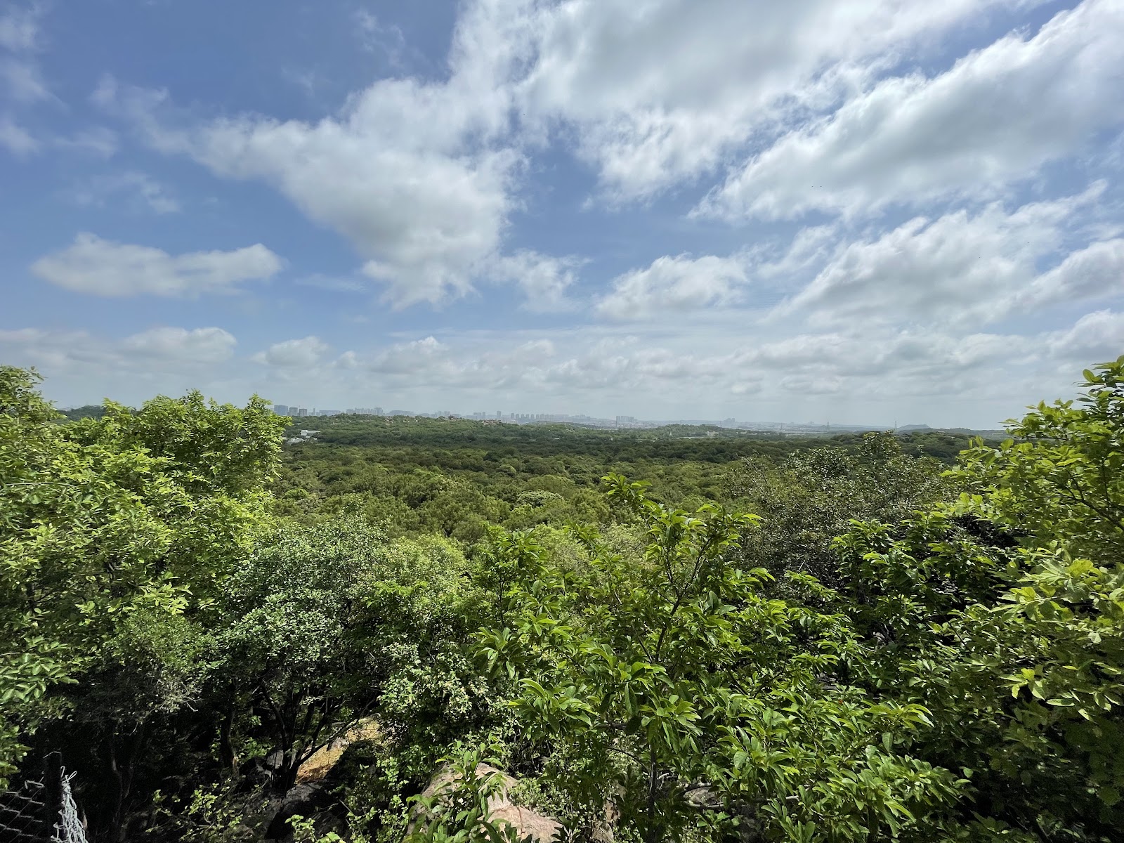 Mrugavani National Park Shamirpet Telangana India