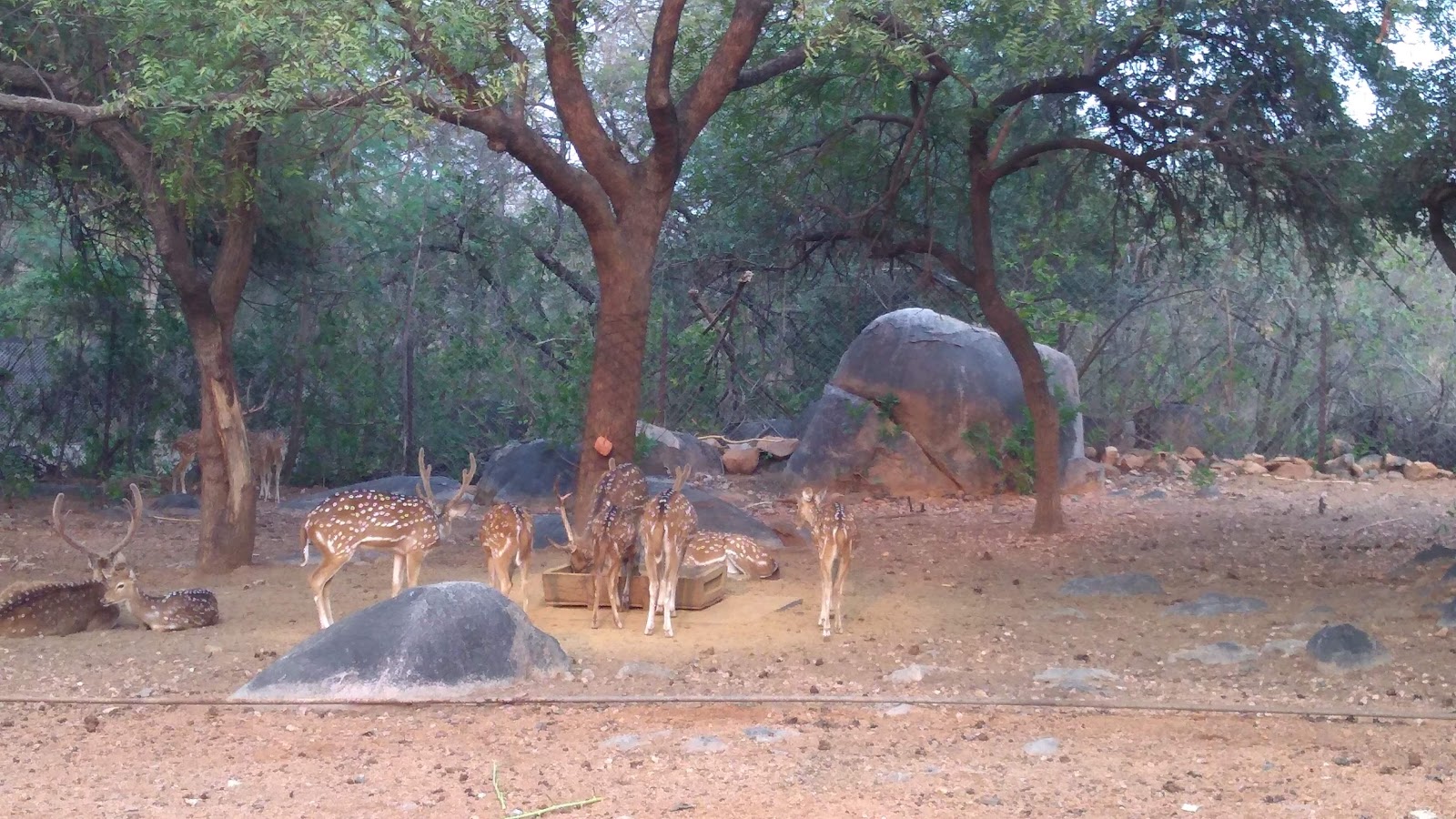 Mrugavani National Park Shamirpet Telangana India