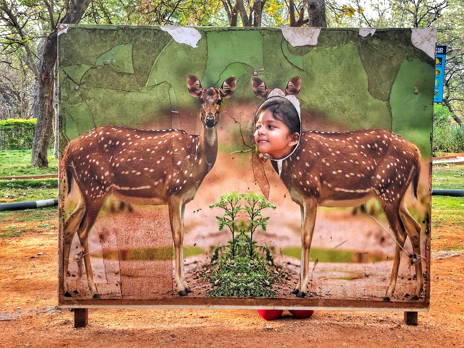 Mrugavani National Park Shamirpet Telangana India