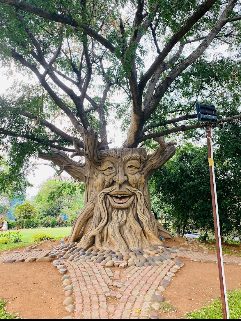 Ocean Park Water Park Shamirpet Telangana India