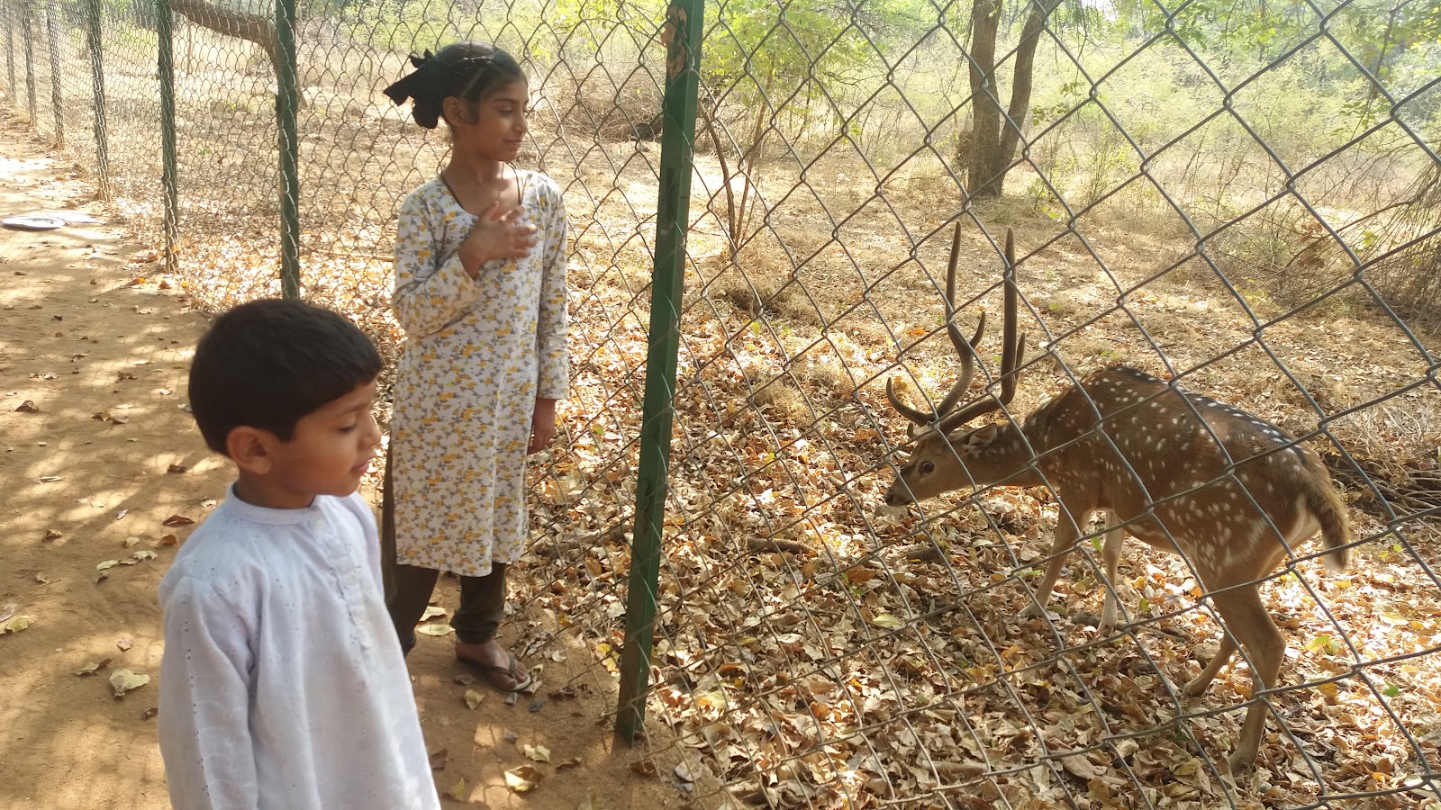 Pocharam Wildlife Sanctuary Pocharam Telangana India