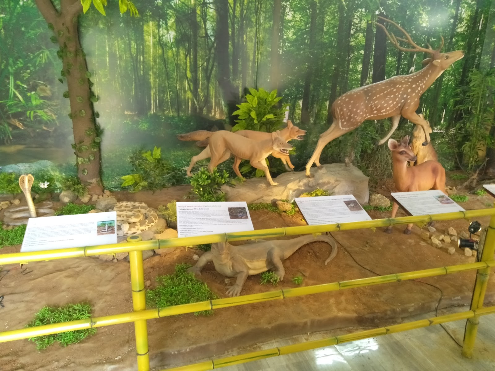 Pocharam Wildlife Sanctuary Pocharam Telangana India