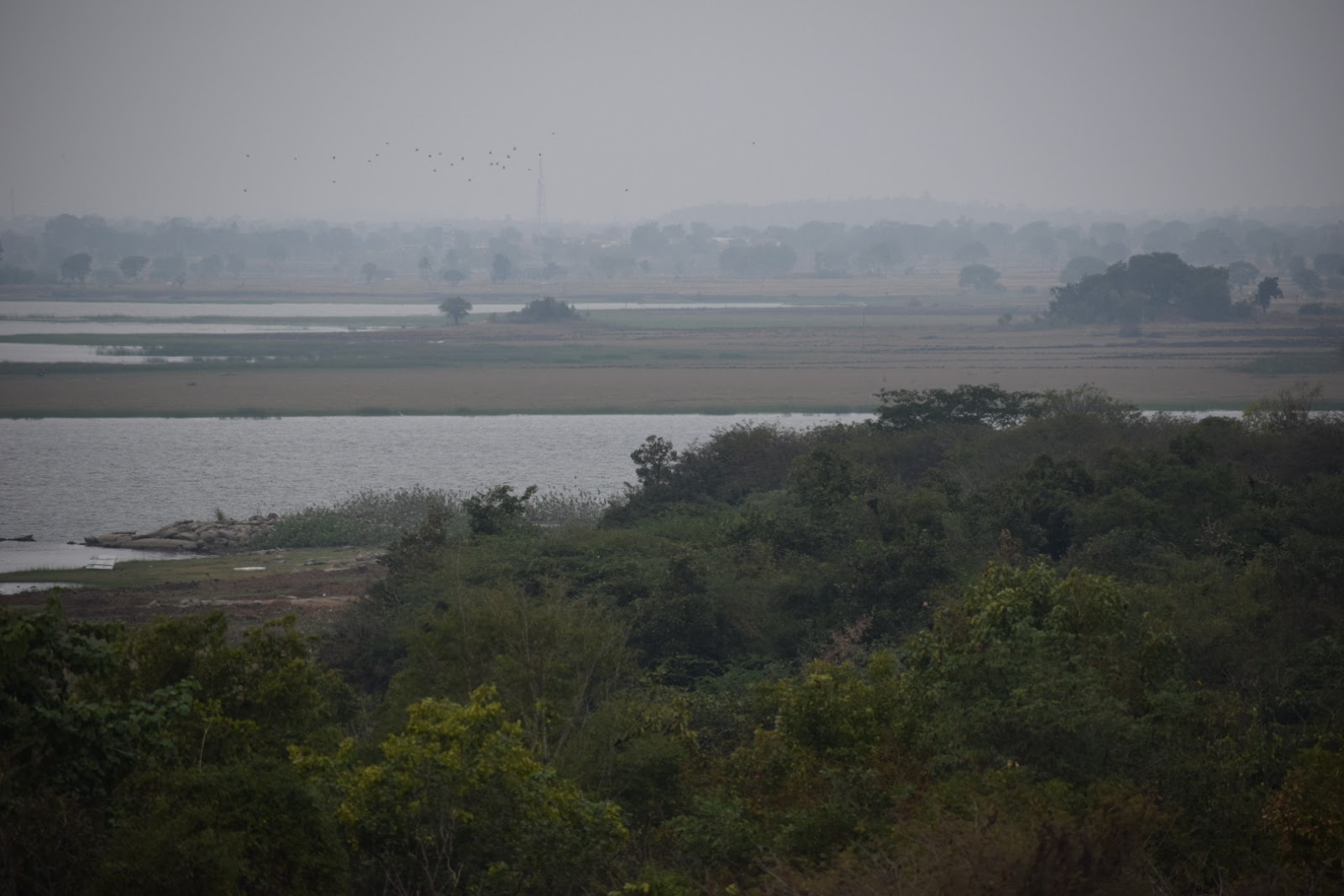 Pocharam Wildlife Sanctuary Pocharam Telangana India