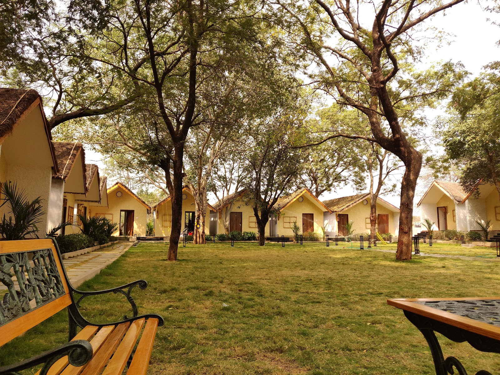Shamirpet Deer Park Shamirpet Telangana India