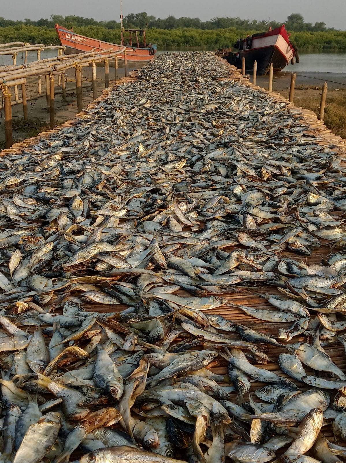 Local Fishing Village