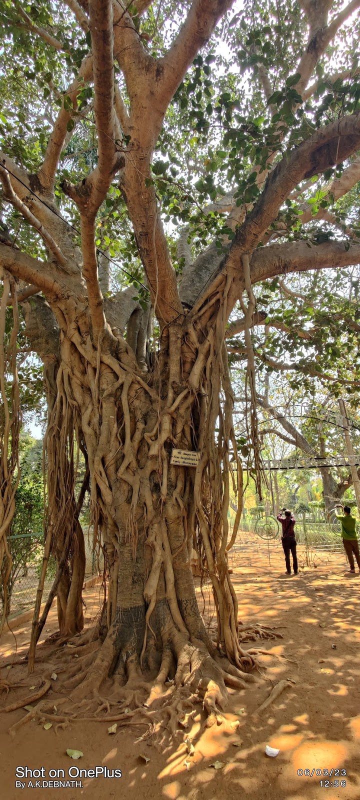 Shantiniketan Ghosh's House