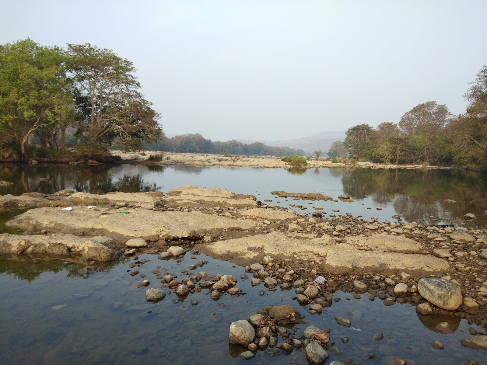 Cauvery Wildlife Sanctuary