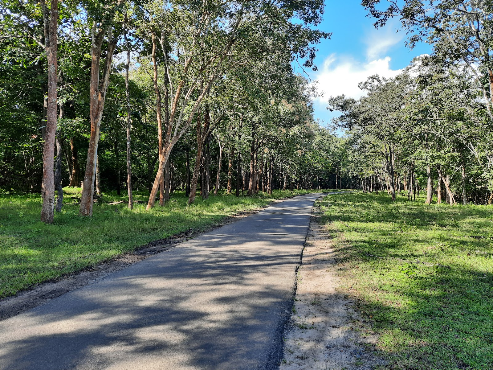 Nagarhole National Park