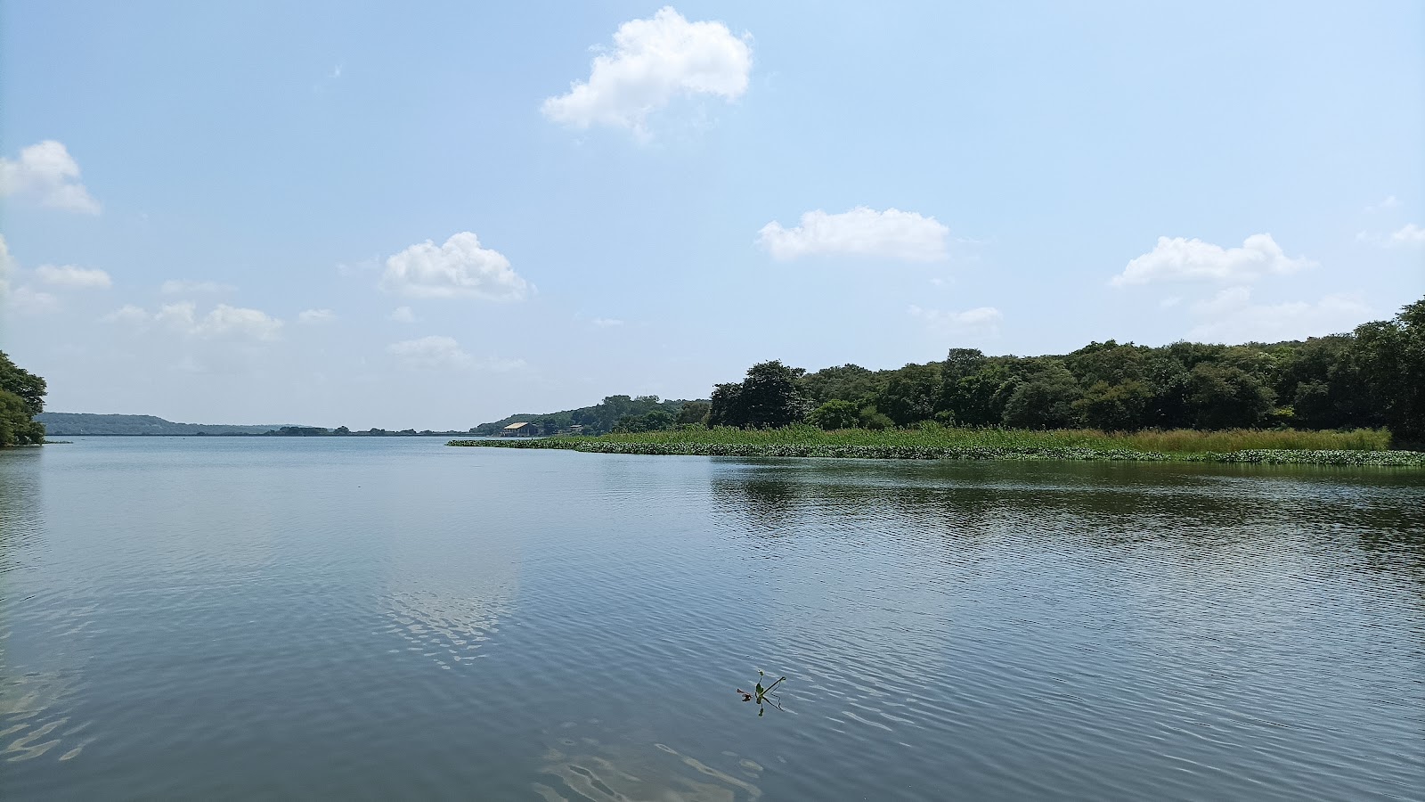 Madhav National Park