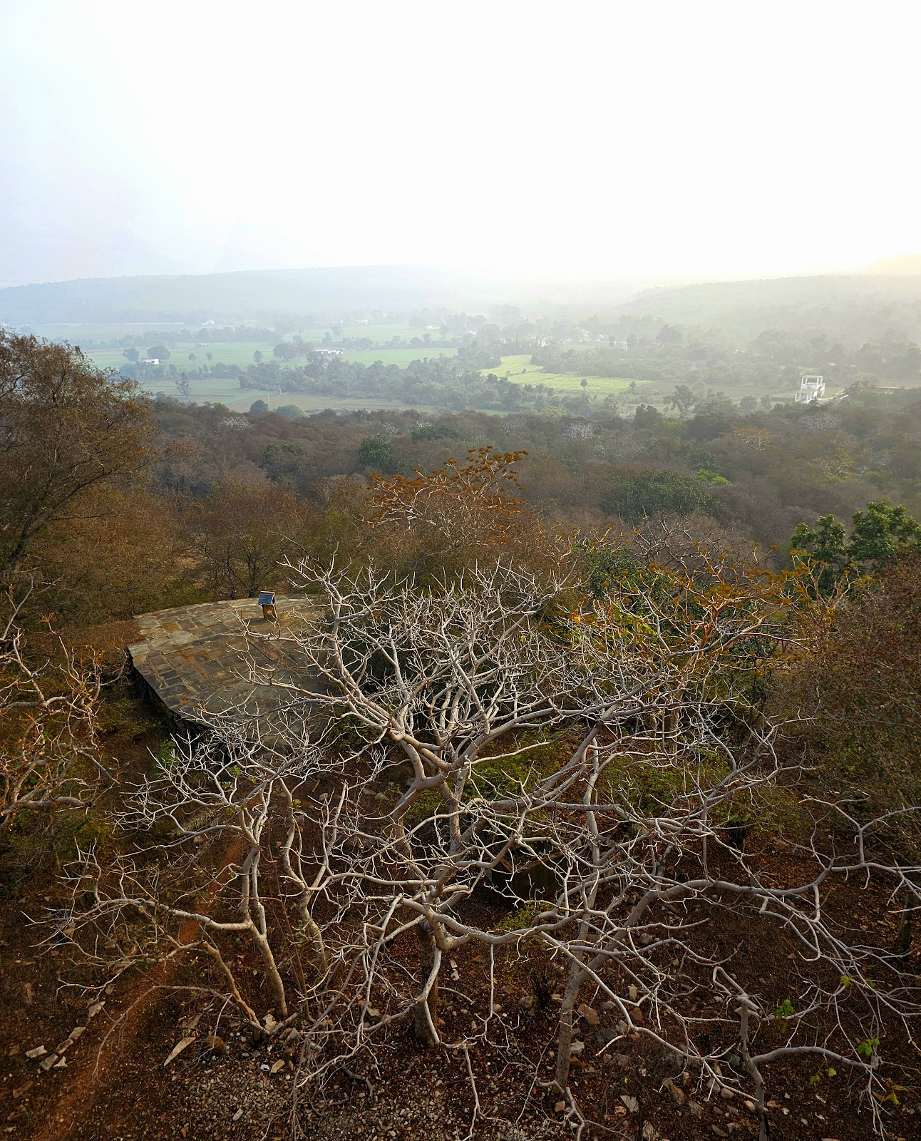 Madhav National Park
