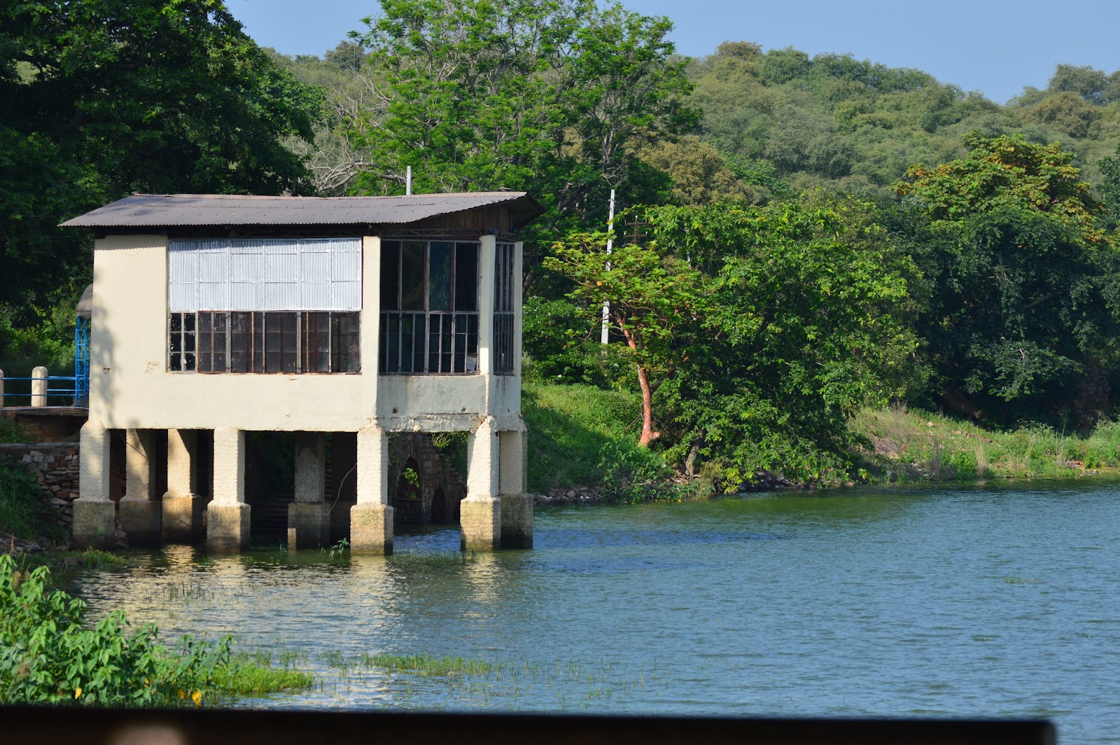 Madhav National Park