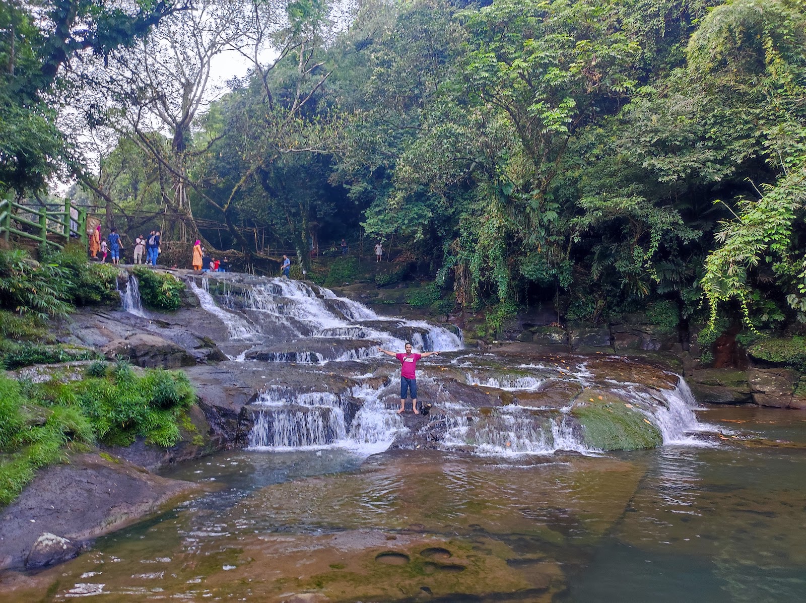 Living Root Bridges