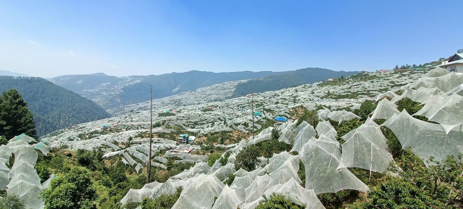 Heritage Walk to Chharabra