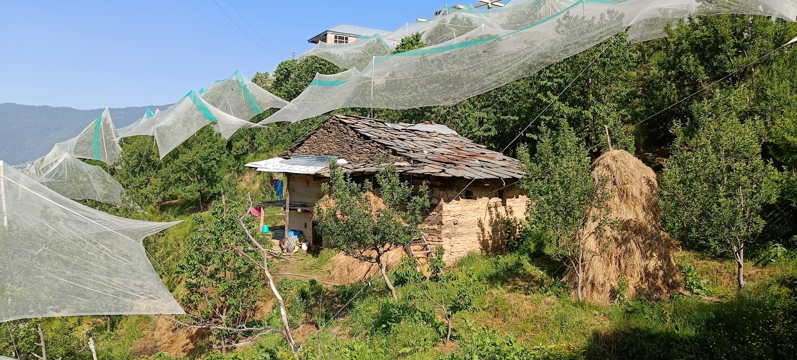 Heritage Walk to Chharabra