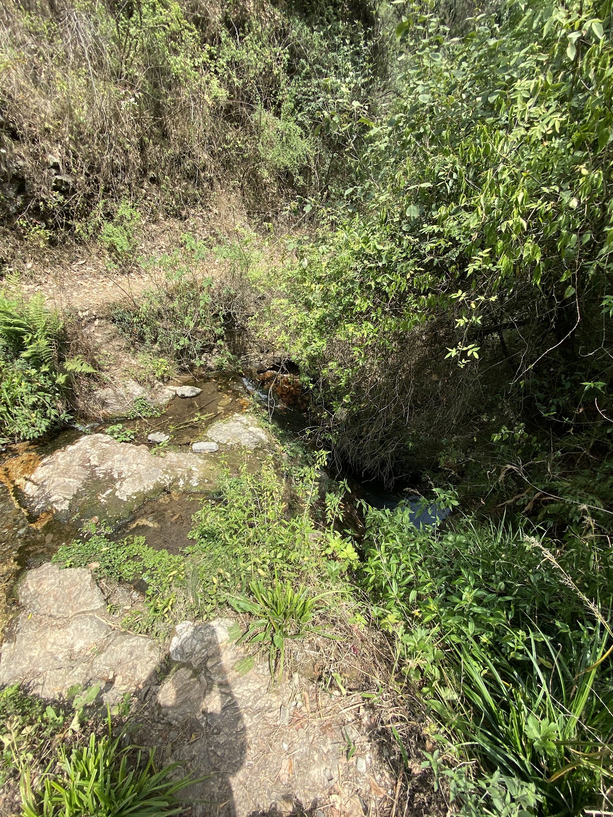 Local Himachali Village Trail