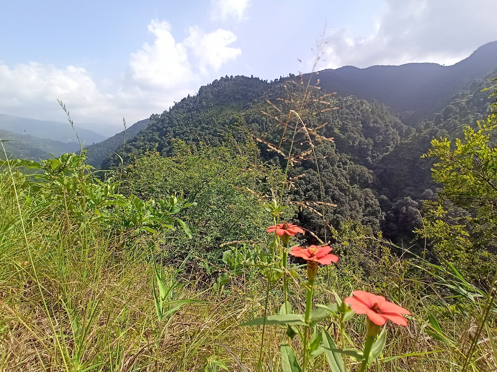 Local Himachali Village Trail