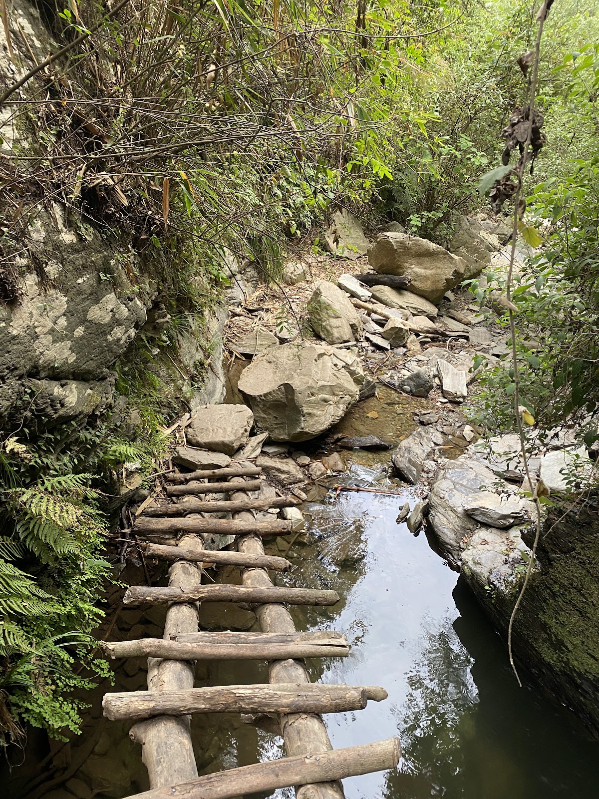 Local Himachali Village Trail