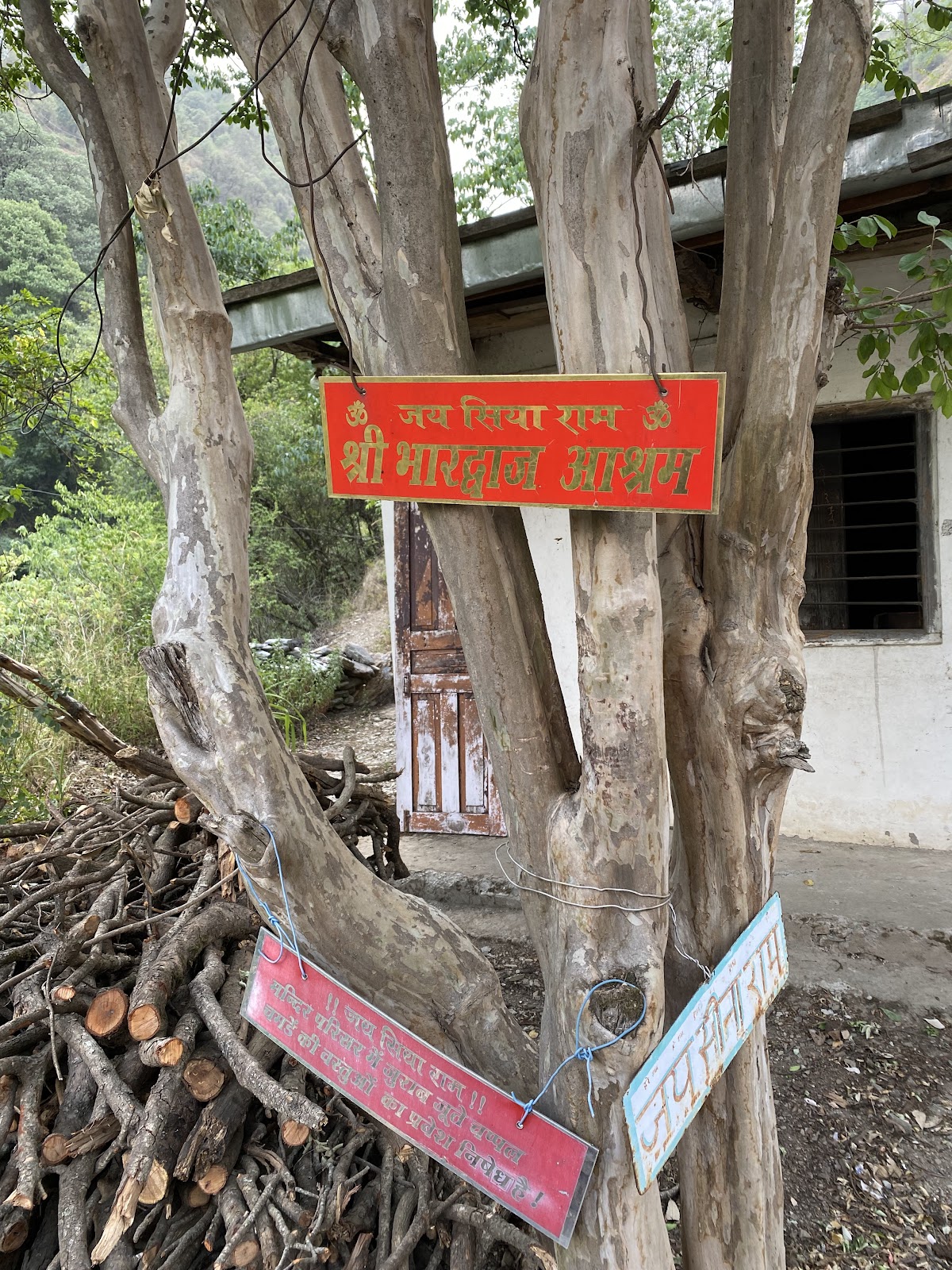 Local Himachali Village Trail