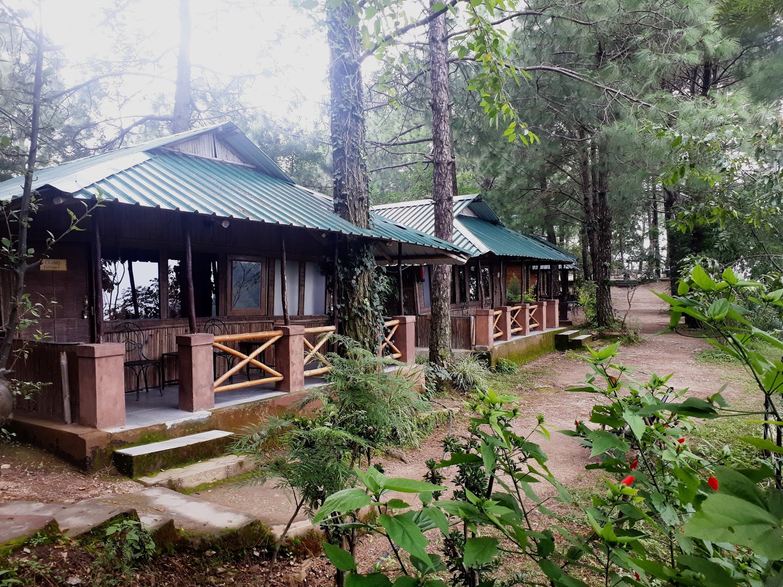 Shoghi Forest Reserve