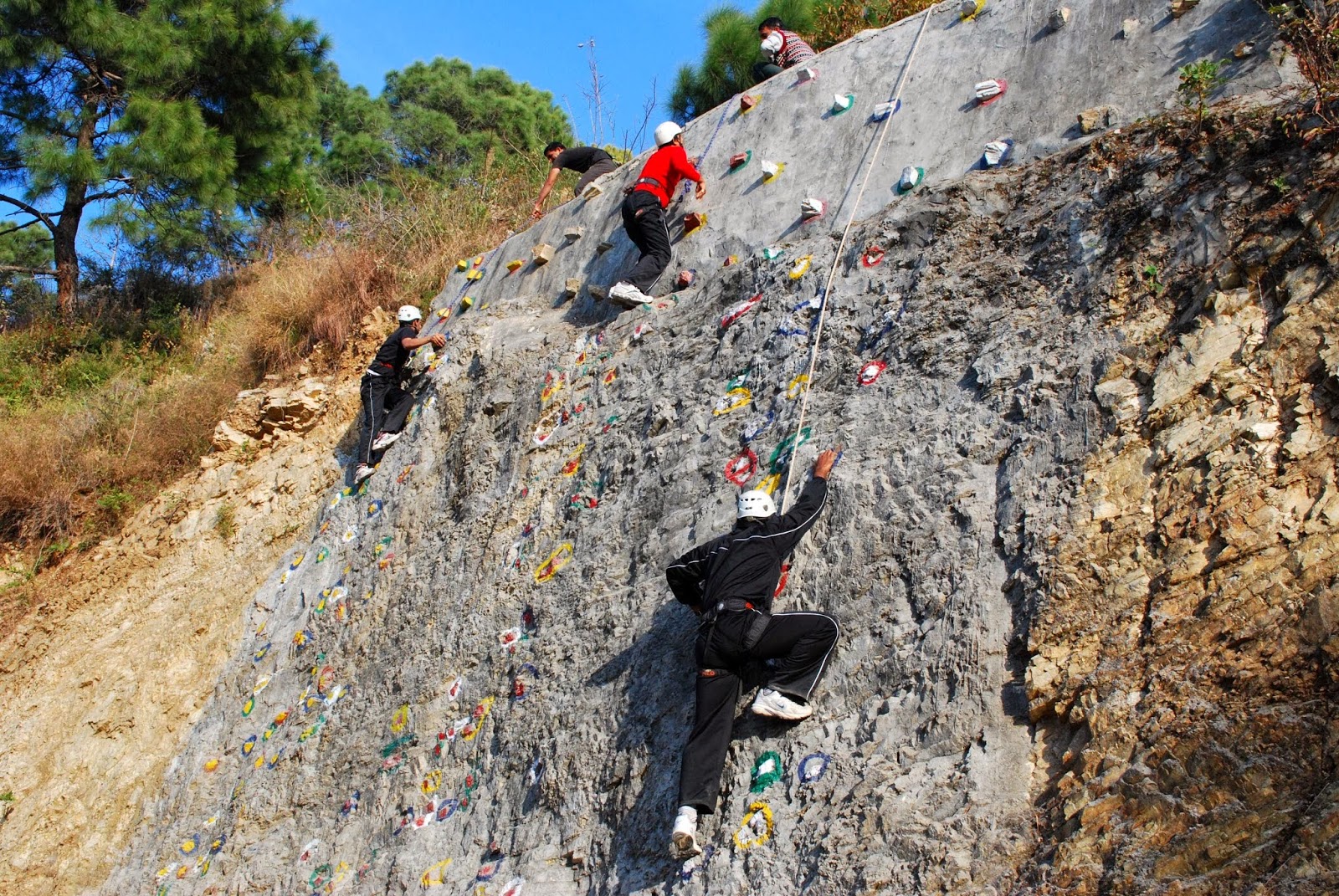 Shoghi Forest Reserve