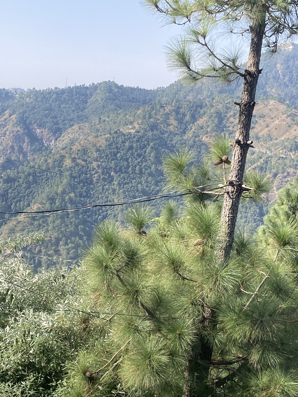 Sunset Viewpoint Shoghi