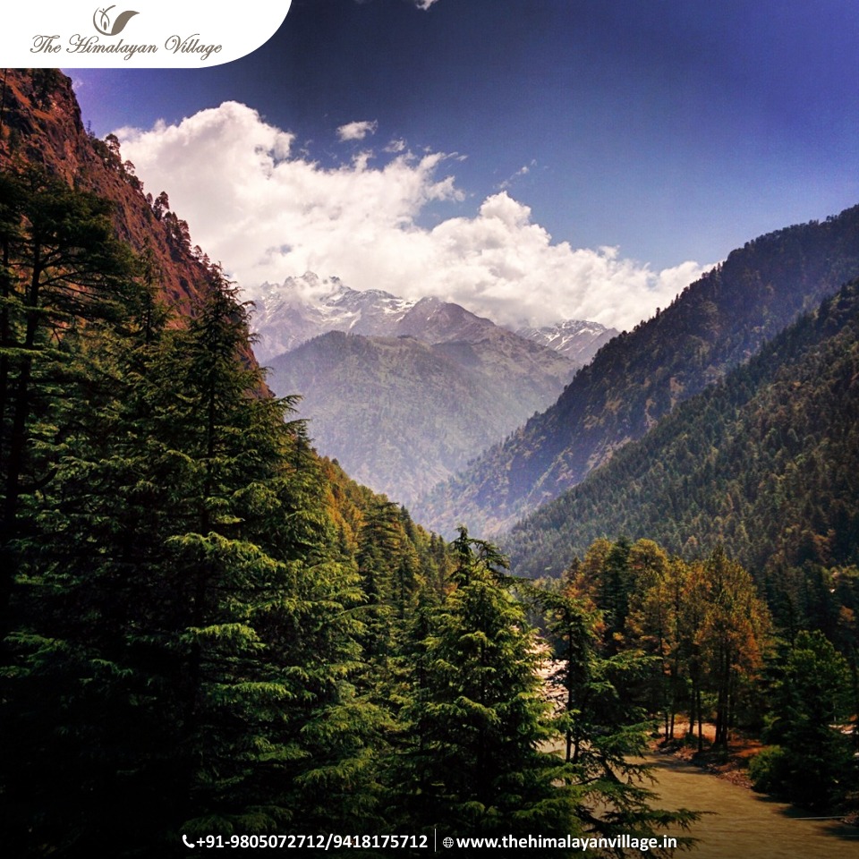 Himalayan Eco Village