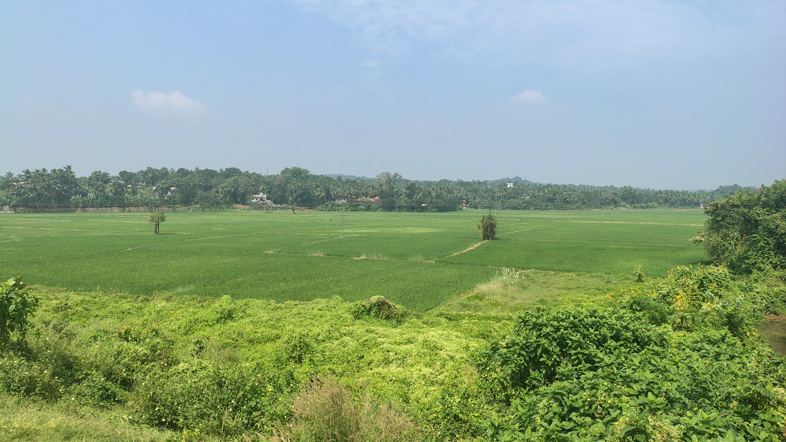 Shoranur Railway Station