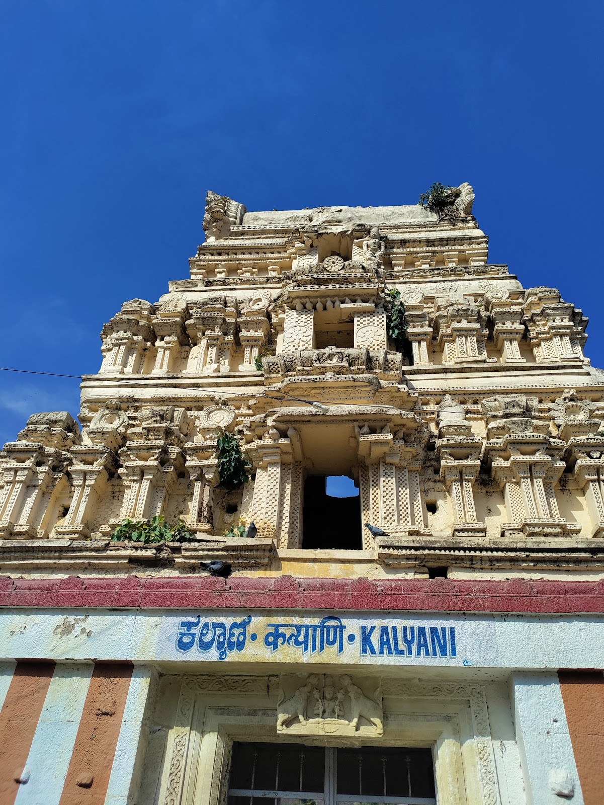 Vindhyagiri Hill and Basadis